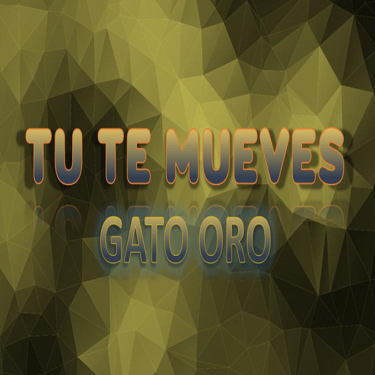 gato oro's avatar image