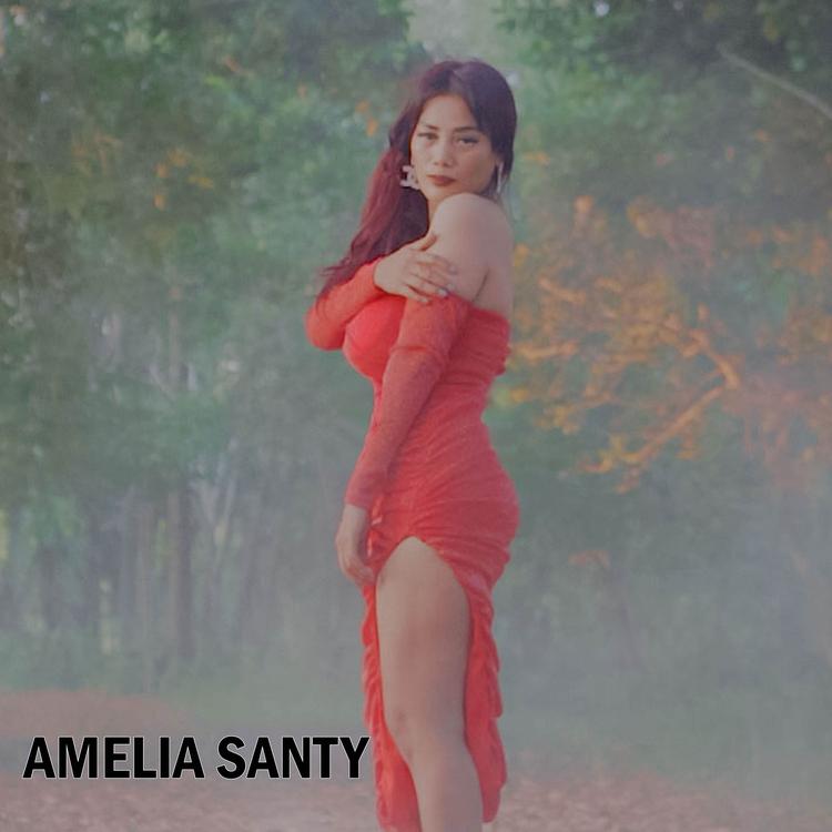 Amelia Santy's avatar image