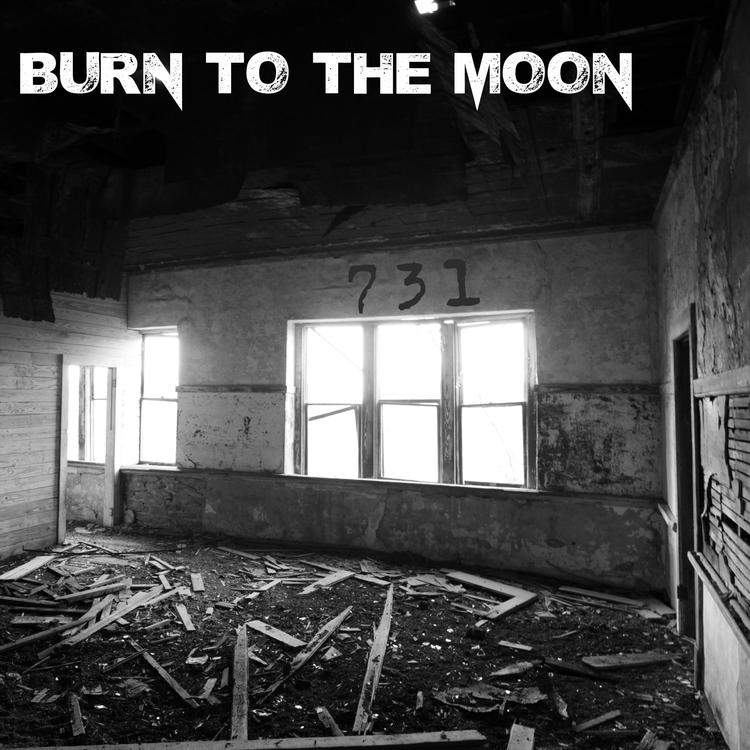 Burn to the Moon's avatar image