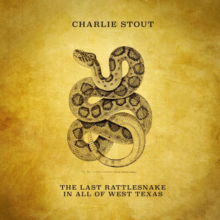 Charlie Stout's avatar image