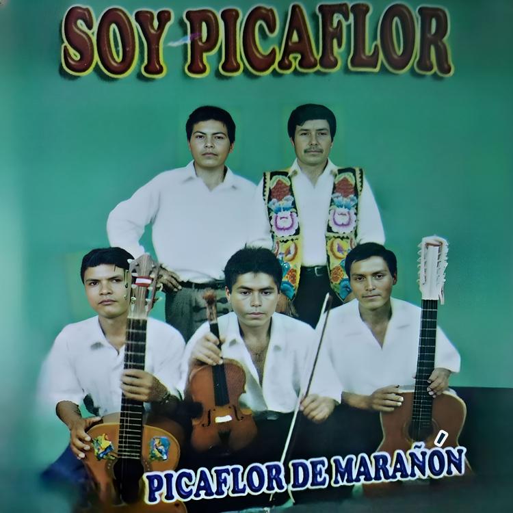 Picaflor de marañón's avatar image