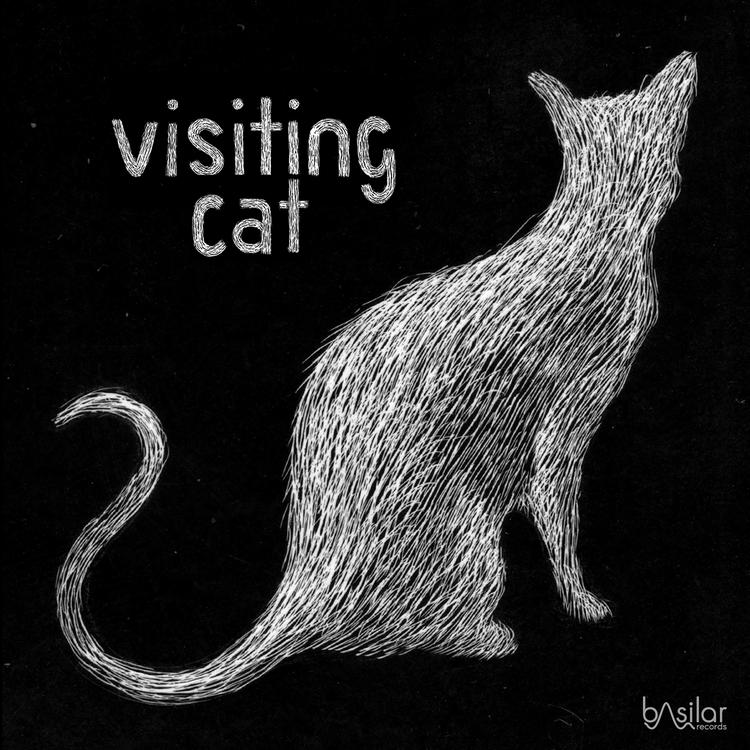 Visiting Cat's avatar image