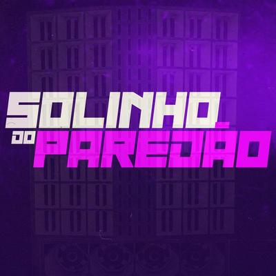 Solinho do Paredão By Vinnyrd7's cover