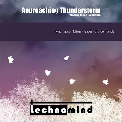 Approaching Thunderstorm: Relaxing Sounds of Nature By Technomind's cover