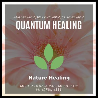 Quantum Healing (Healing Music, Relaxing Music, Calming Music, Meditation Music, Music for Mindfulness)'s cover