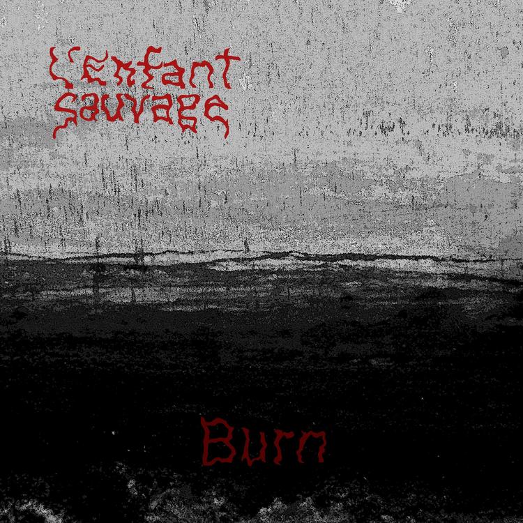 L'Enfant Sauvage's avatar image