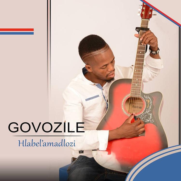 Govozile's avatar image