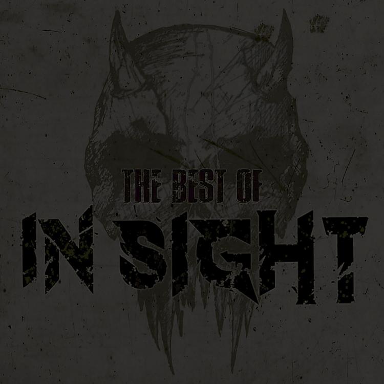 In-Sight's avatar image