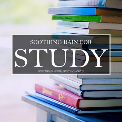 Soothing Rain for Study, Pt. 42's cover
