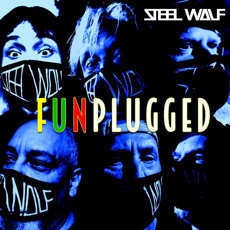 Steel Wolf's avatar image