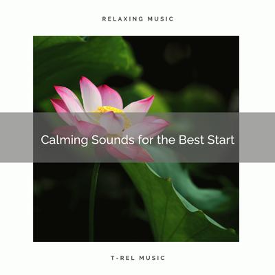 2020 Best: Calming Sounds for the Best Start's cover