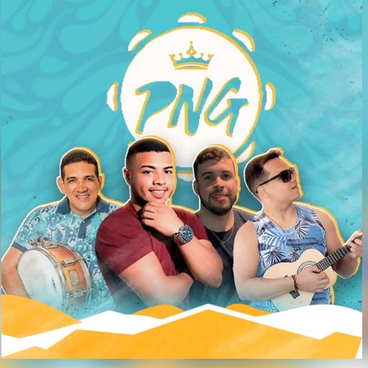 Pagode Nova Geração's avatar image