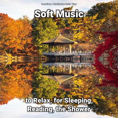 Soft Music to Relax, for Sleeping, Reading, the Shower's cover