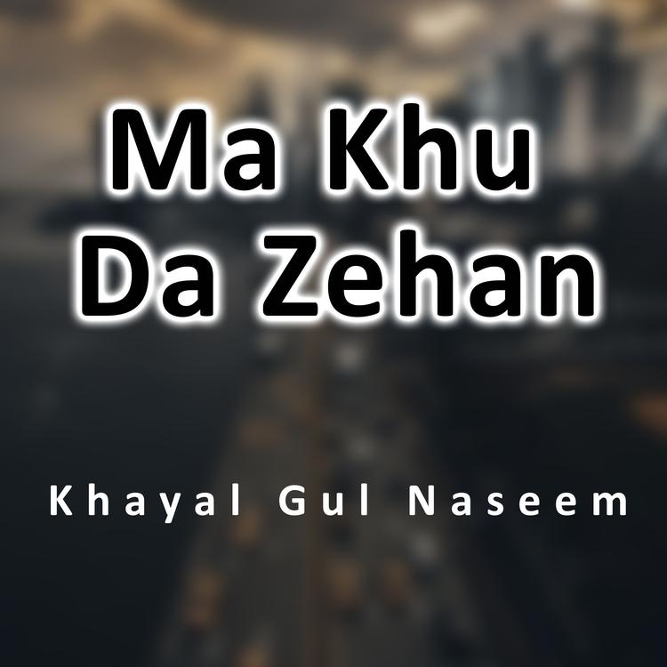 Khayal Gul Naseem's avatar image