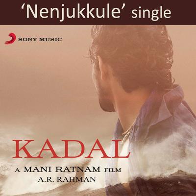 Nenjukkule By A.R. Rahman, Shakthisree Gopalan's cover