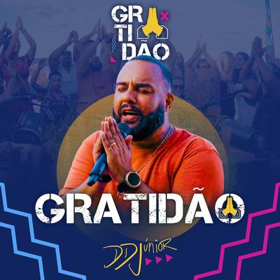 Gratidão (Ao Vivo) By DD Junior's cover