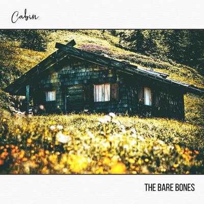 Cabin By The Bare Bones's cover