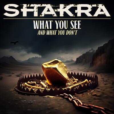 What You See (And What You Don't) By Shakra's cover