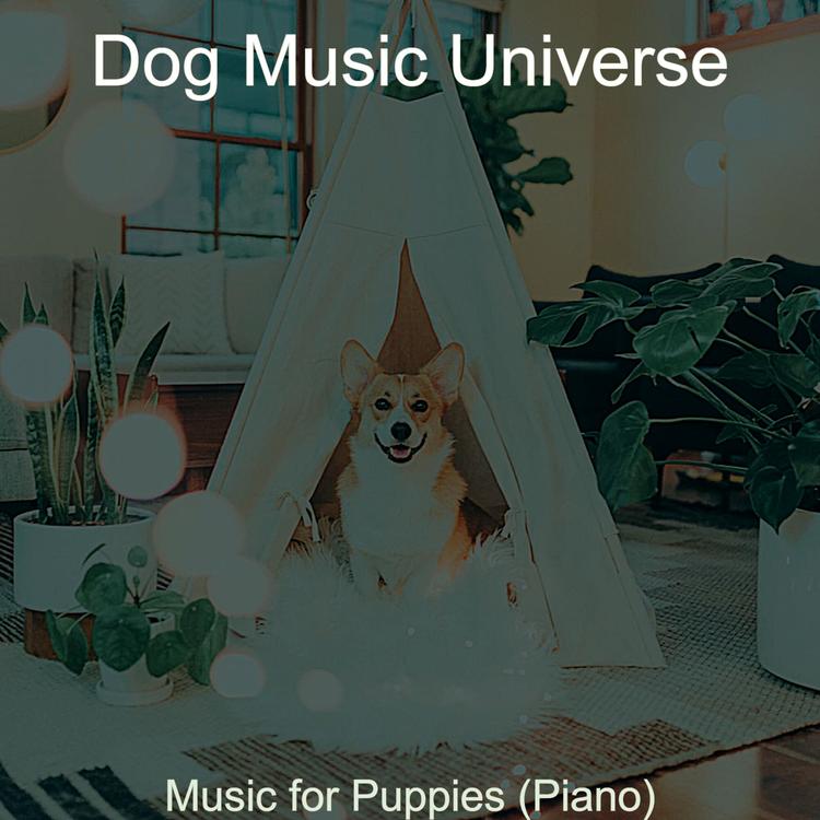 Dog Music Universe's avatar image