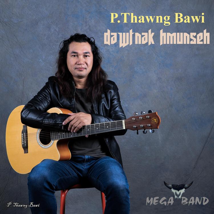 P. Thawng Bawi's avatar image