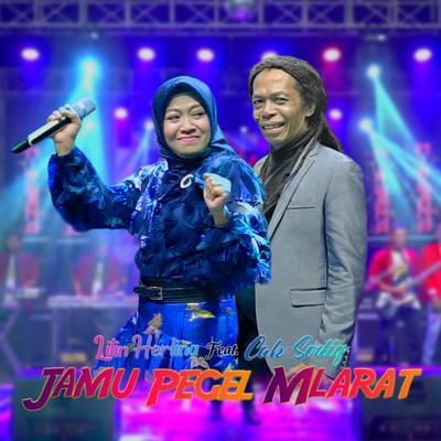 Jamu Pegel Mlarat (feat. Cak Sodiq)'s cover