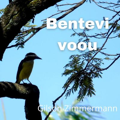 Bentevi Voou's cover
