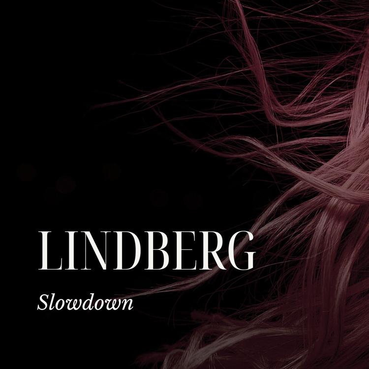 LINDBERG's avatar image