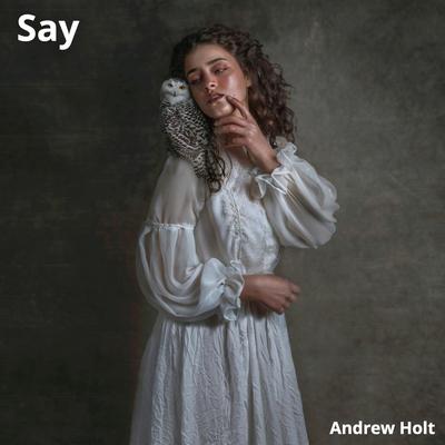 Say (Instrumental)'s cover