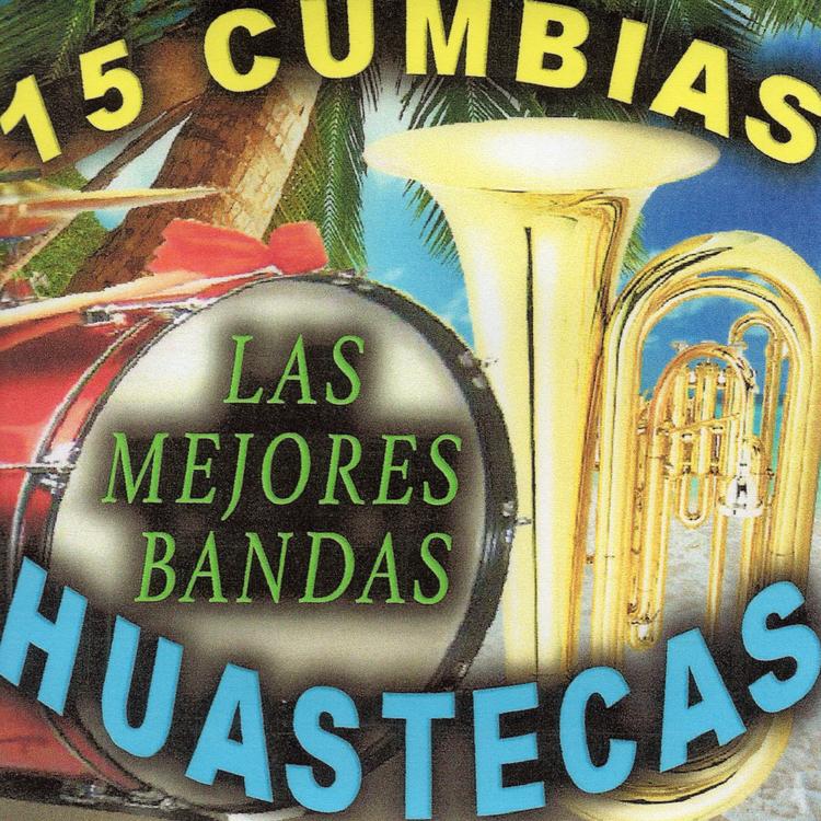 Las Mejores Bandas Huastecas's avatar image