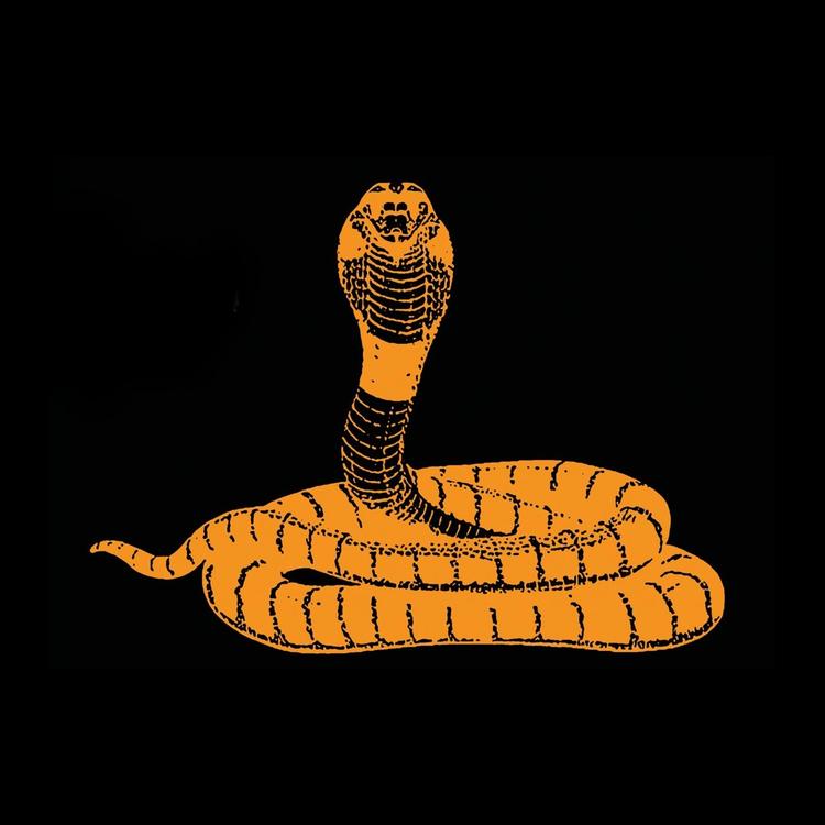 Serpent Garden's avatar image