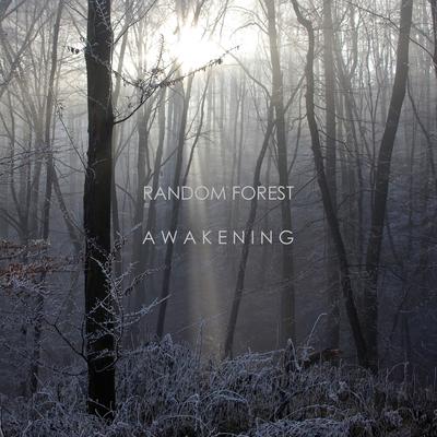 Awakening By Random Forest's cover