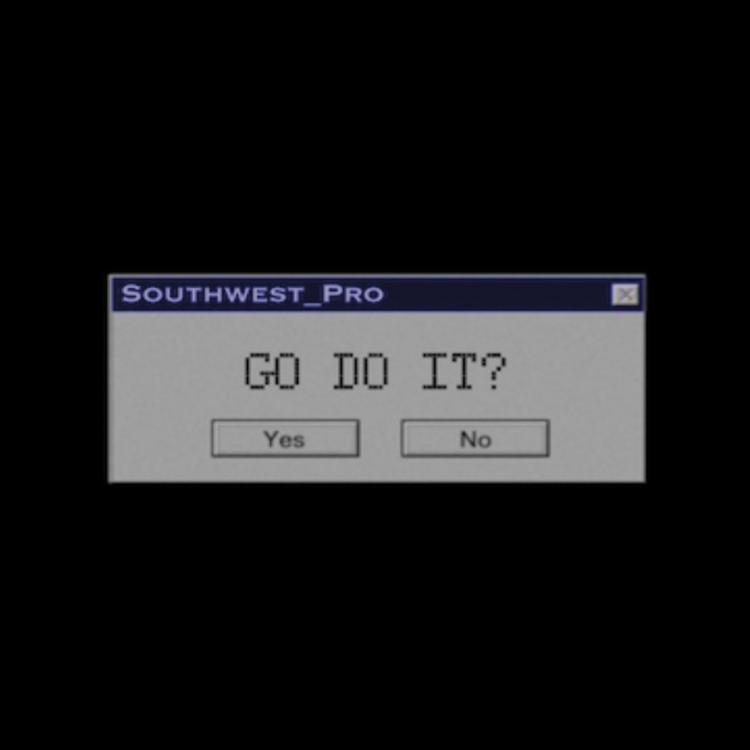 Southwest_pro's avatar image