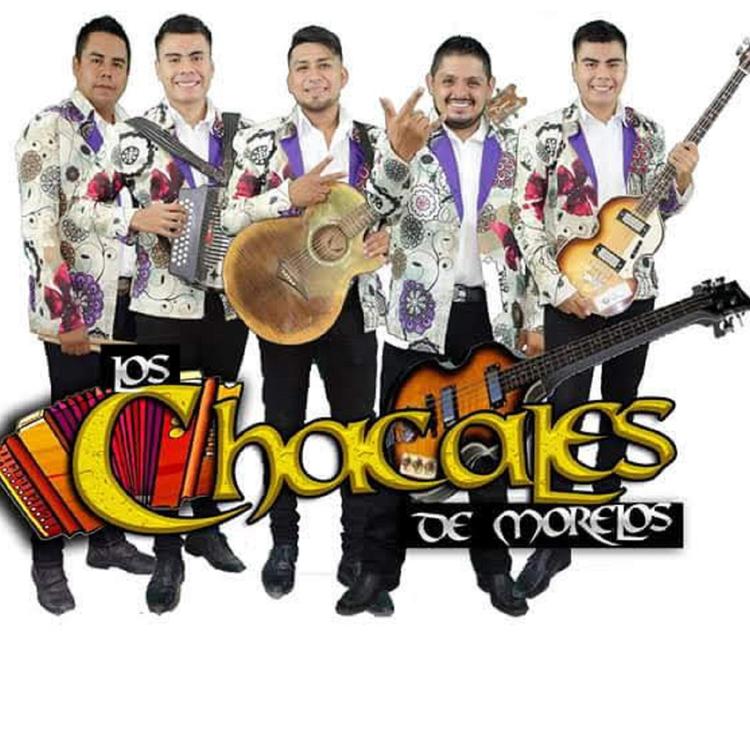 Chacales de Morelos's avatar image