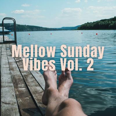 Mellow Sunday Vibes Vol. 2's cover