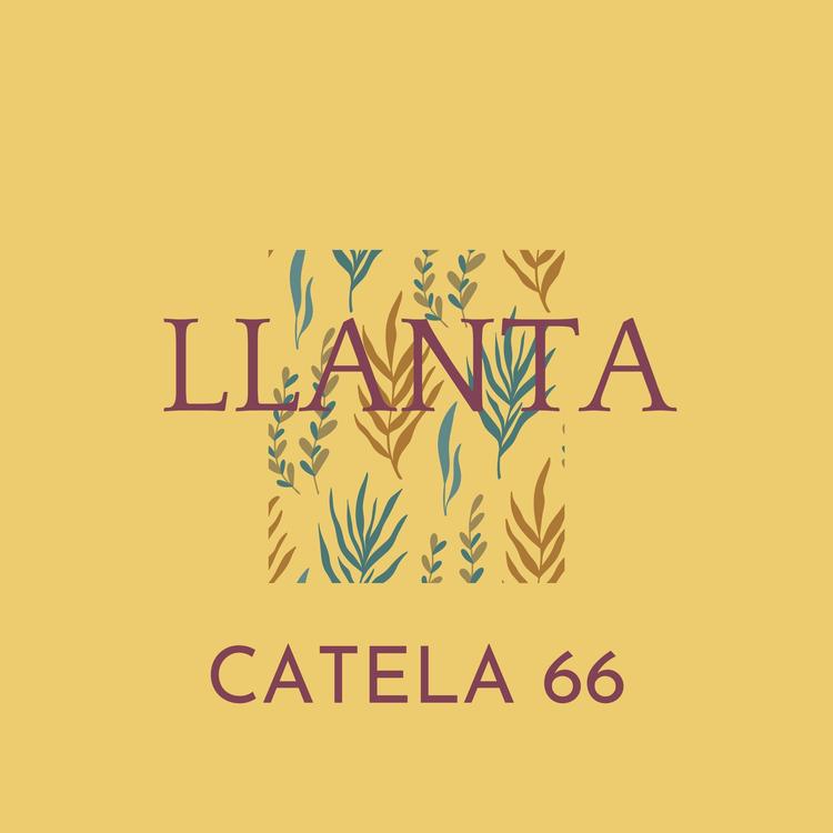 Catela 66's avatar image