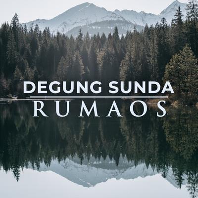 Rumaos (feat. Barman S.)'s cover