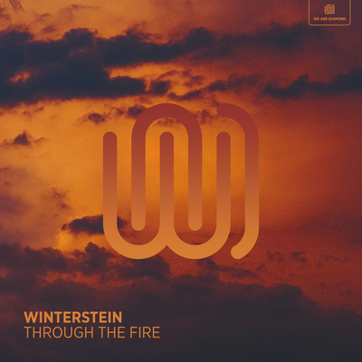 Through the Fire By Winterstein's cover