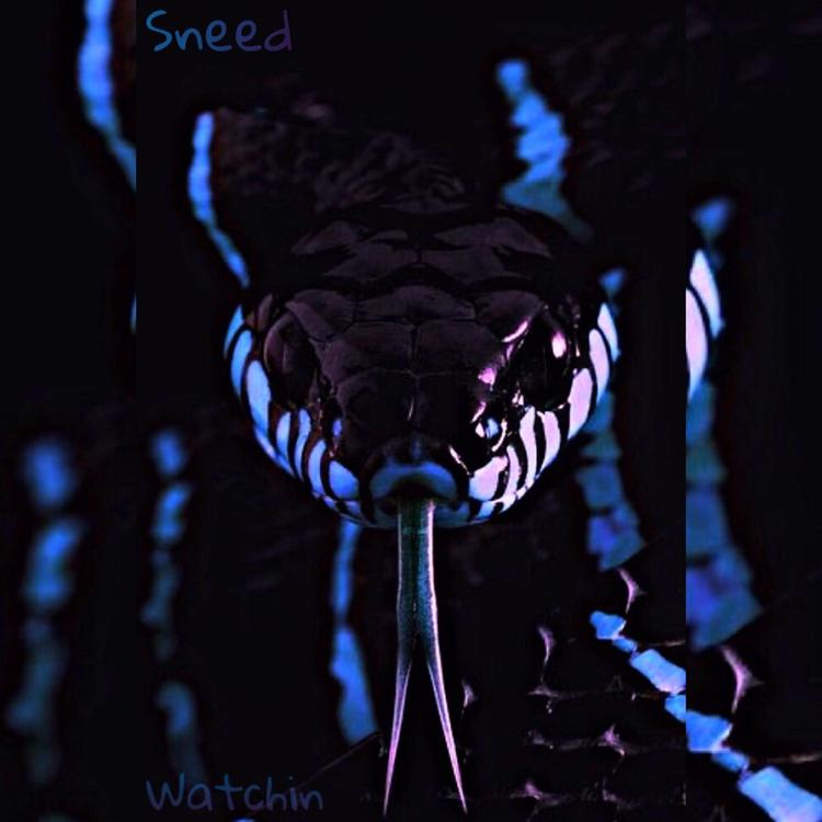 Sneed's avatar image