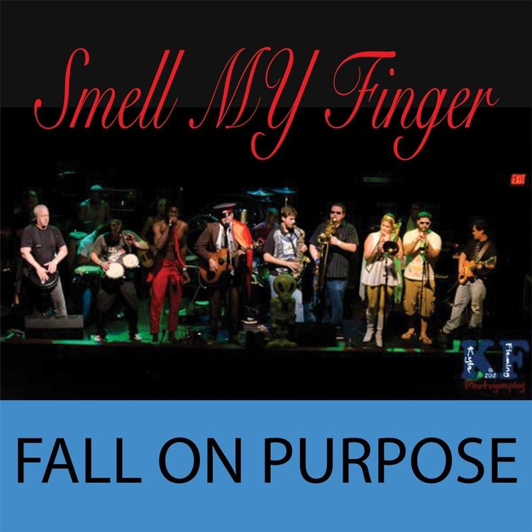 Fall On Purpose's avatar image