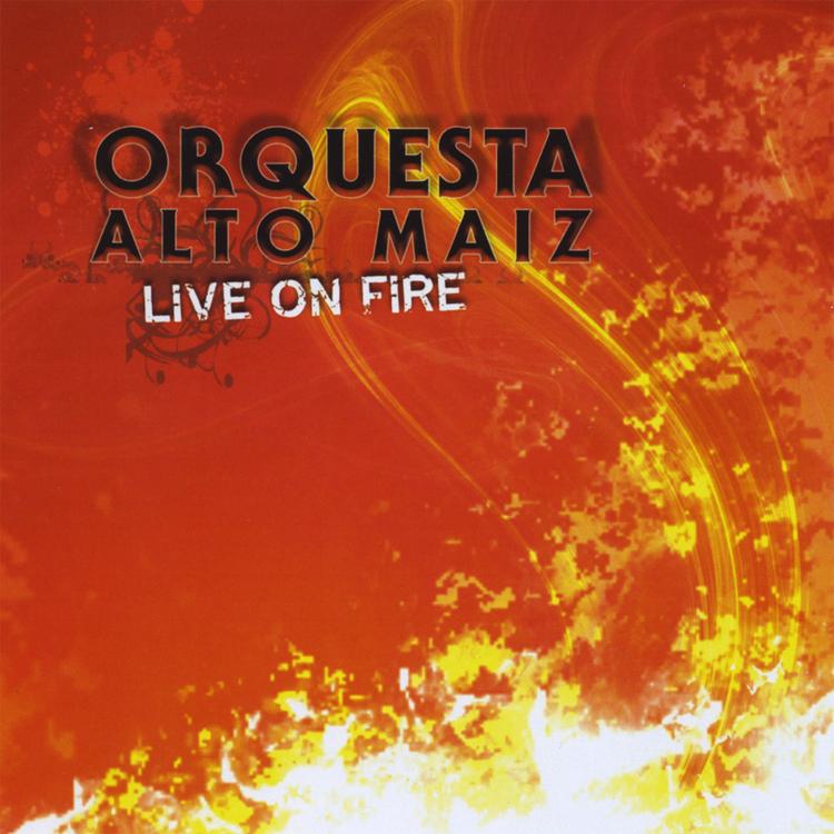 Orquesta Alto Maiz's avatar image