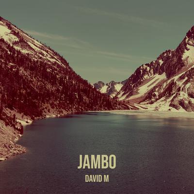 David M.'s cover