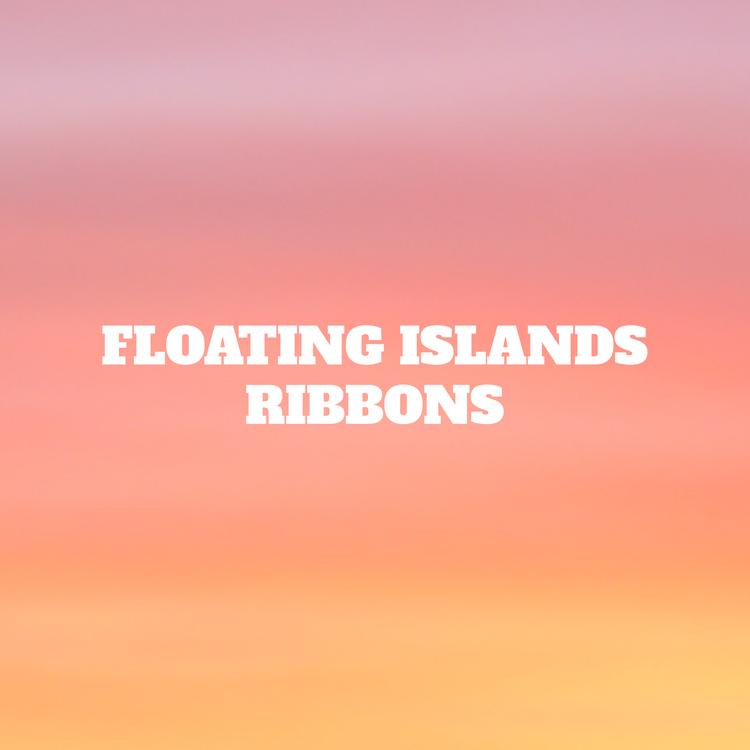 Floating Islands's avatar image