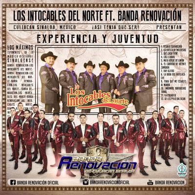 Banda Renovación de Culiacán Sinaloa's cover