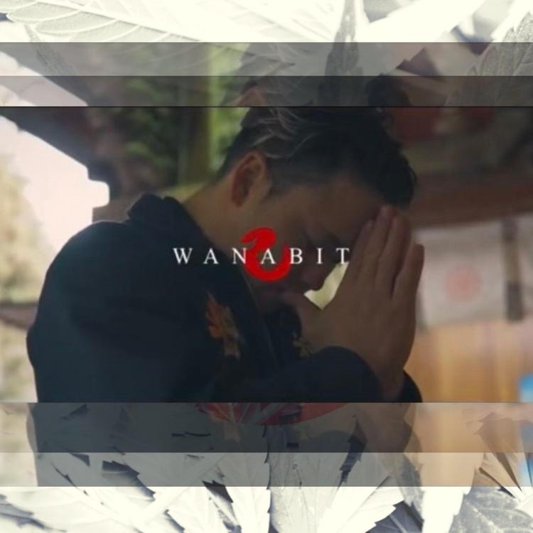 Wanabit's avatar image