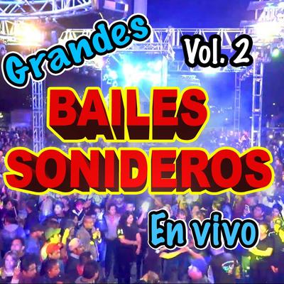 Bailes Sonideros en Vivo's cover
