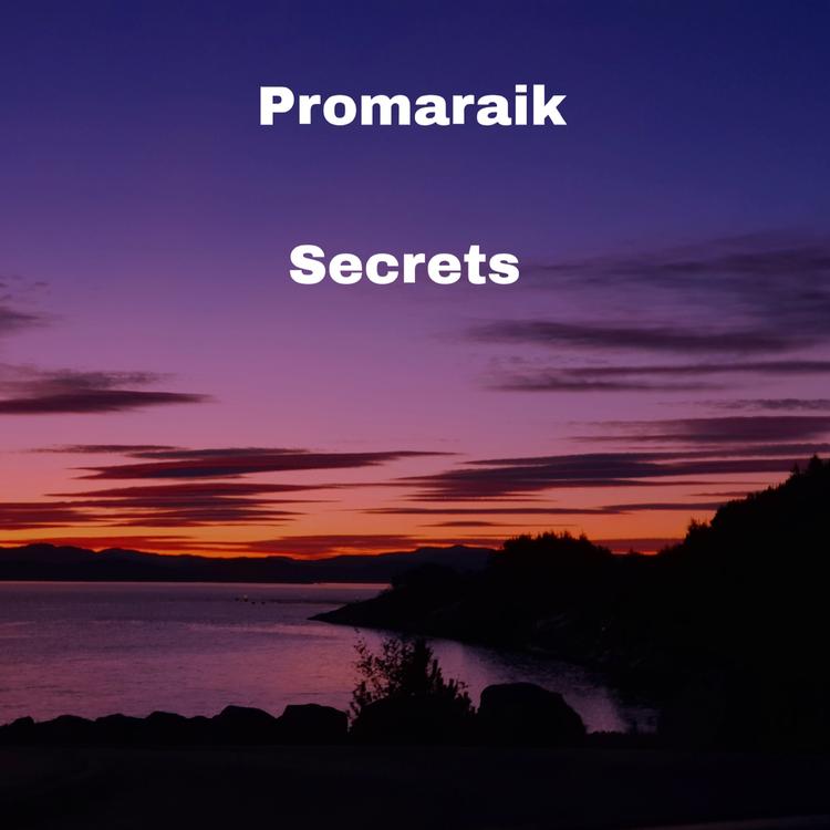 Promaraik's avatar image