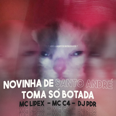 NOVINHA DE SANTO ANDRÉ, TOMA SÓ BOTADA By DJ PDR, MC LIPEX, MC C4's cover