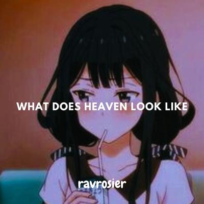 What Does Heaven Look Like's cover