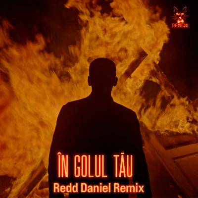 În Golul Tău (Redd Daniel Remix)'s cover