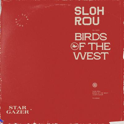 Star Gazer By Birds Of The West, sloh rou's cover
